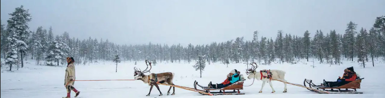 Lapland Activity Holidays