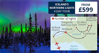 Iceland's Northern Lights